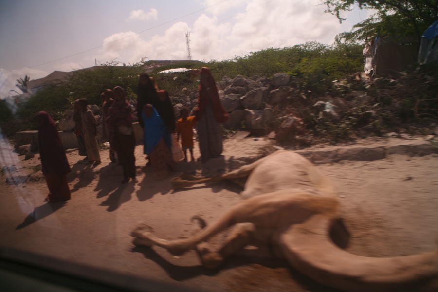 Mogadishu. Snapshots from the most dangerous city in the world. Reportage by Giampaolo Musumeci